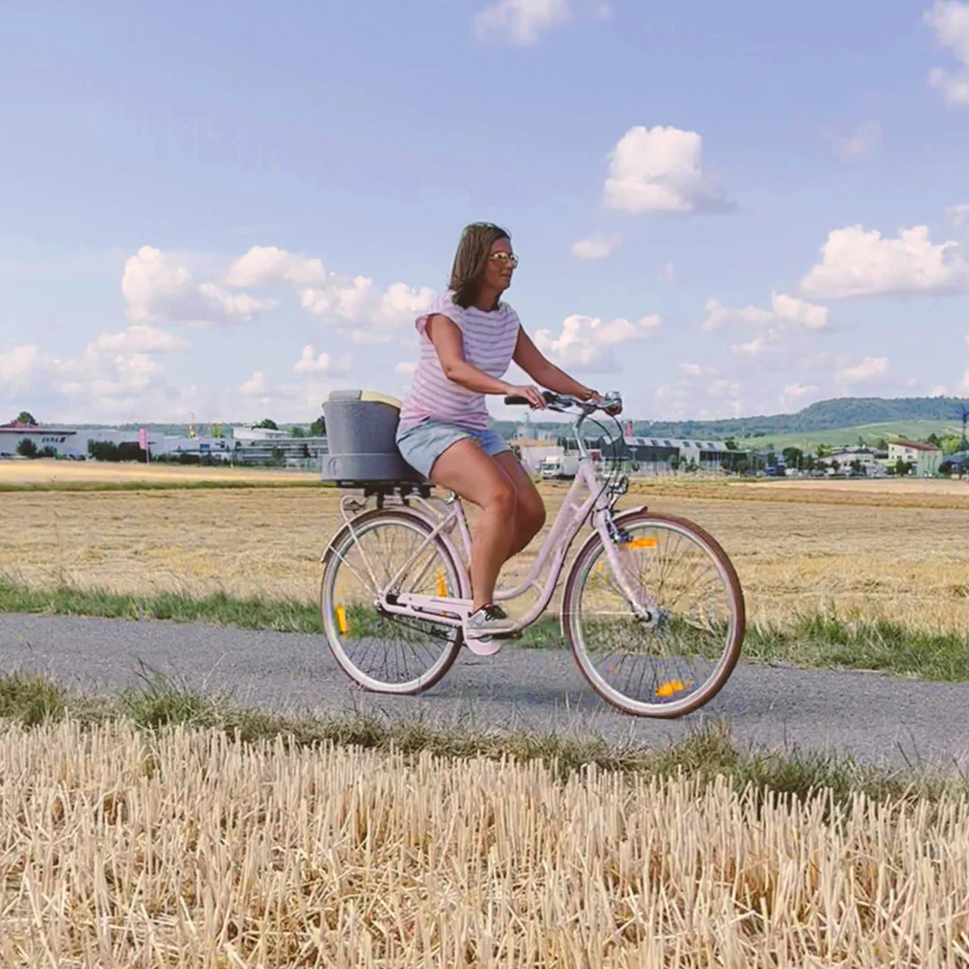 FAHRRADHALTERUNG silver grey - Image 5